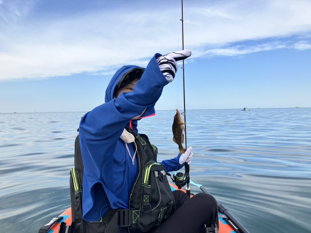 The day's catch of small lively fish from the paddleboards