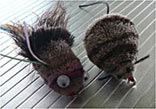 FLLIES SET 03 fishing-flies.html jigging lure, weight —